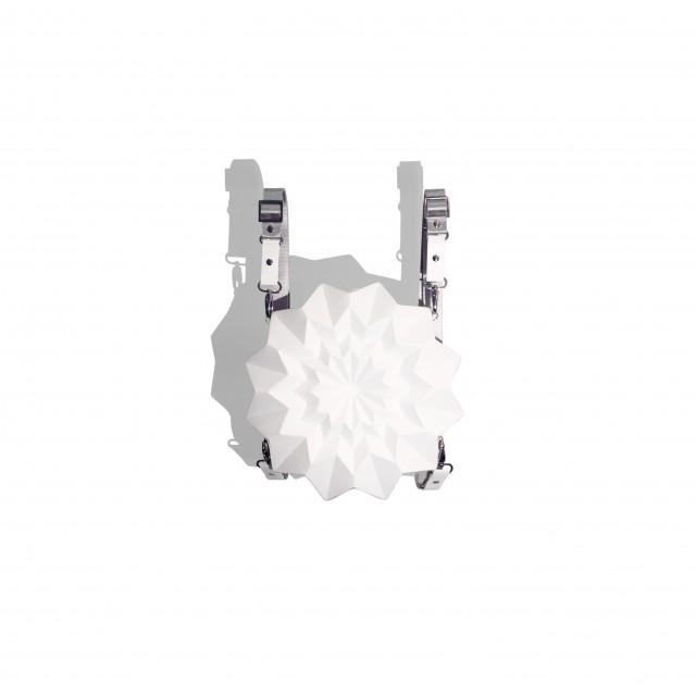 skybags uno backpack