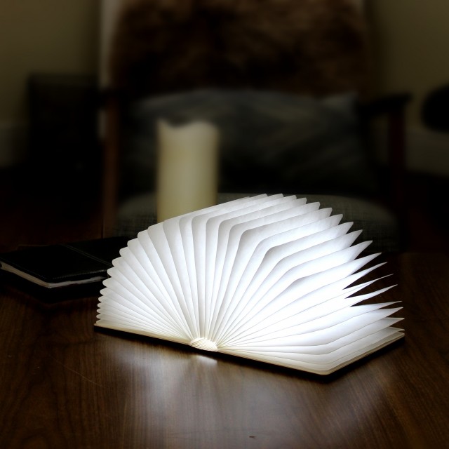 smart book light amazon