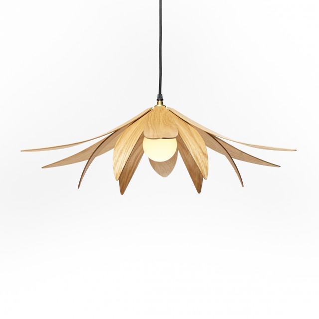 delicate pendant lights